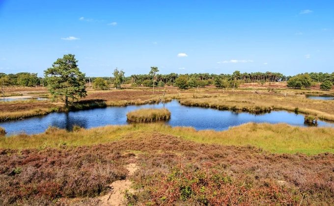 Mooi wandel en natuurgebied nabij Nijmegen. Te betreden wanneer je een huisje gaat huren in Wijchen.